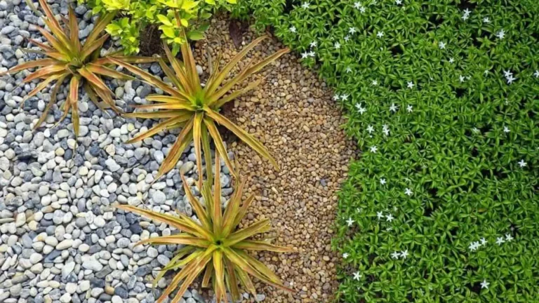 Landscape Aggregates: Main Types and Best Ideas for Stunning Landscaping